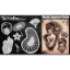 Picture of Tattoo Pro Stencil - BIG INK - Geisha (ATPS-BGNK-101)