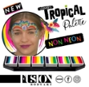 Picture of Fusion Leanne's Tropical Collection Palette (Non Neon)