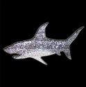 Picture of Shark - Sparkle Stencil (1pc)